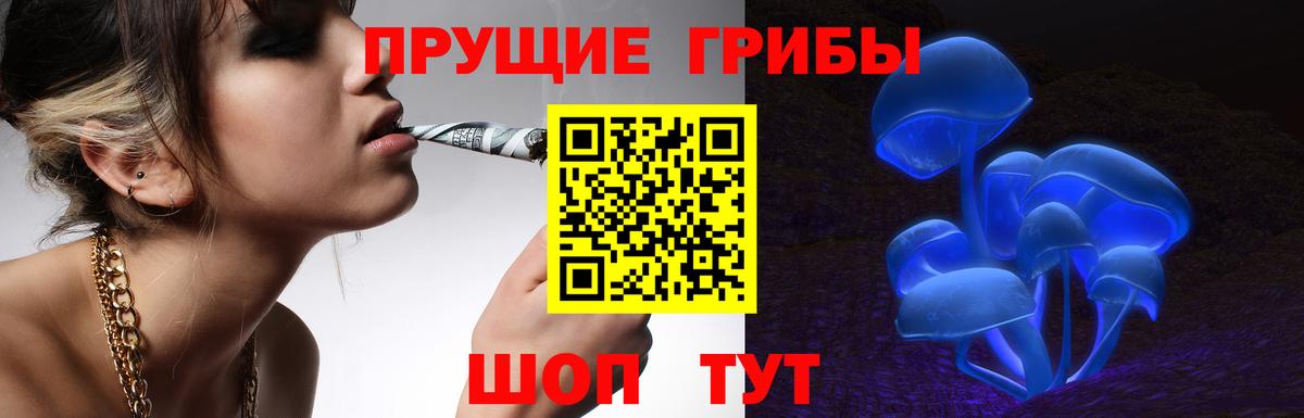 Псилоцибиновые грибы MAGIC MUSHROOMS Шатура